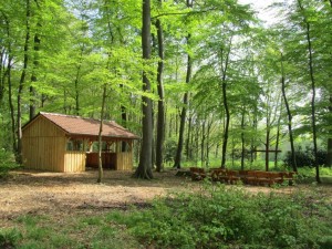 IMG 5688-verkleinert-300x225 in 